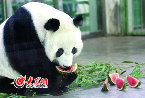 �c(di��n)���g�[��һ��