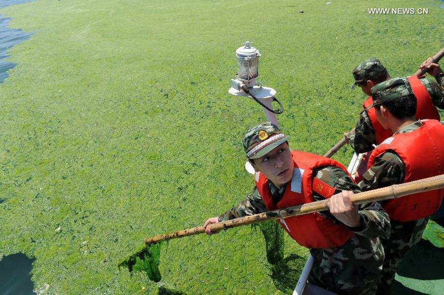 CHINA-SHANDONG-QINGDAO-GREEN ALGAE (CN)