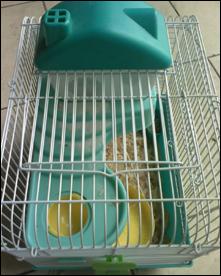 摩托羅拉W510評測 超高性價比摩托金屬超薄翻蓋W510評測(5)