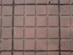 拍照較量諾基亞N73與索愛K810對比(8)