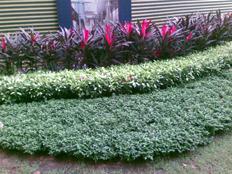 完美結(jié)合諾基亞商務(wù)滑蓋機(jī)E65評(píng)測(cè)(19)