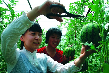 ��(j��)�����Ϲ��r����