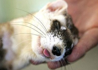 ��(d��ng)��ɐ�˯�˴�P�c(di��n)