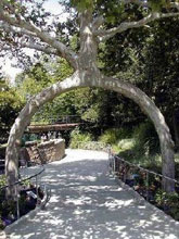 ��ֵط�����֘�