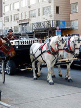 �����ġ������R܇