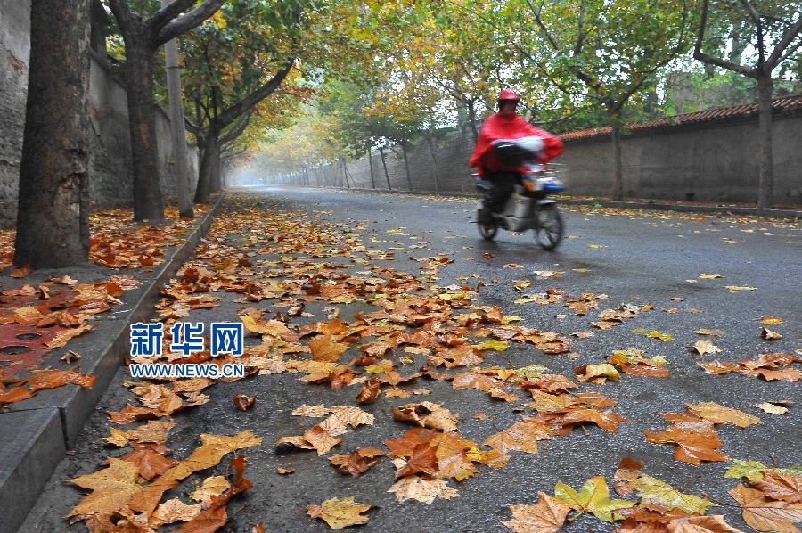 #���������1��ɽ�|���ֵ؅^ӭ�����L���꽵�����