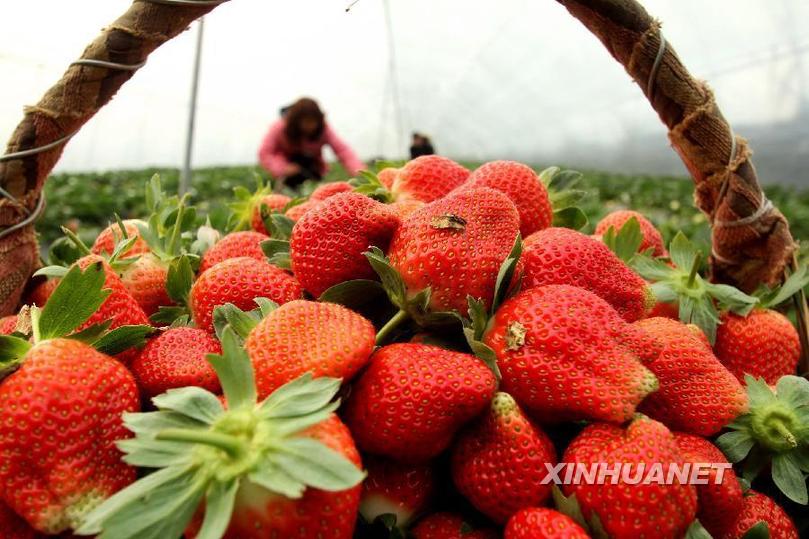 #���r�I����2����ݮ�h��ӭ����