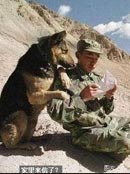 ��(d��ng)��ˣ����Ц˲�g