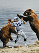 �����@Щ����׃�ɬF(xi��n)��(sh��)