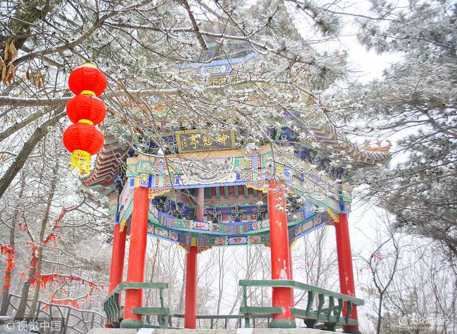 2018��2��21�գ�ɽ�|�R�ʣ�����(ji��)���ڵ����һ�죬���S����ѩ���R������ɽ���ɾ��^(q��)���F(xi��n)����ѩ�Fڡ���^(gu��n)��