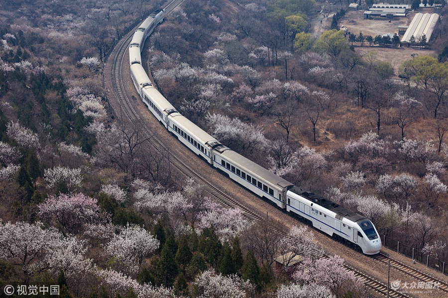 2018��4��1�գ���������ӹ�P�һ�ʢ�_����܇�����д��С�