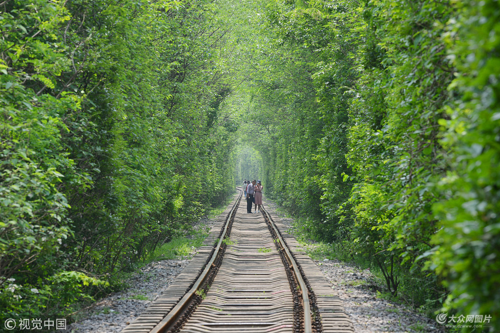 2018��4��27�գ�λ���Ͼ��н����^�Đ��������܇�֦���~ï���G���͵�֦�~�γ�һ���o�M�Ĺ��T����M��Ԋ�鮋�⣬���������ο�Ľ��ǰȥ���ա�