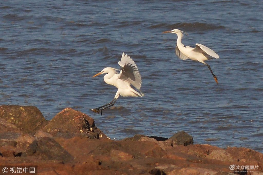 2018��5��3�գ���ֻ�lΣ��ϡ�B��S��������F�����u�غ����Ғʳ�������Bۺ��ߵ��Pע��