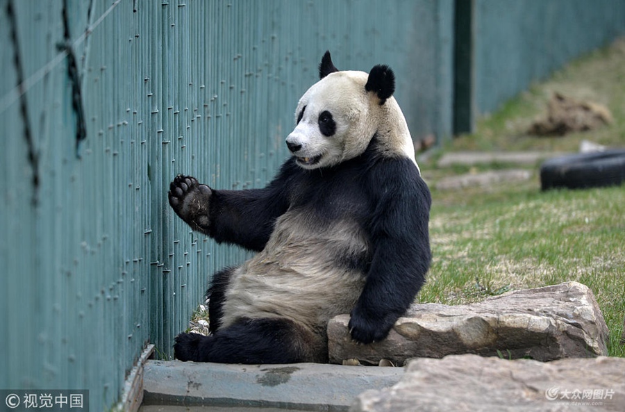 2018��5��5�գ���ꖡ�3���ĕr�g��˂�һֱҕ���顰����������Äӡ��Ɖ����������Q���顰���wŮ������Ȼ���S������u�L�������挍�Ԅe�l�������D��