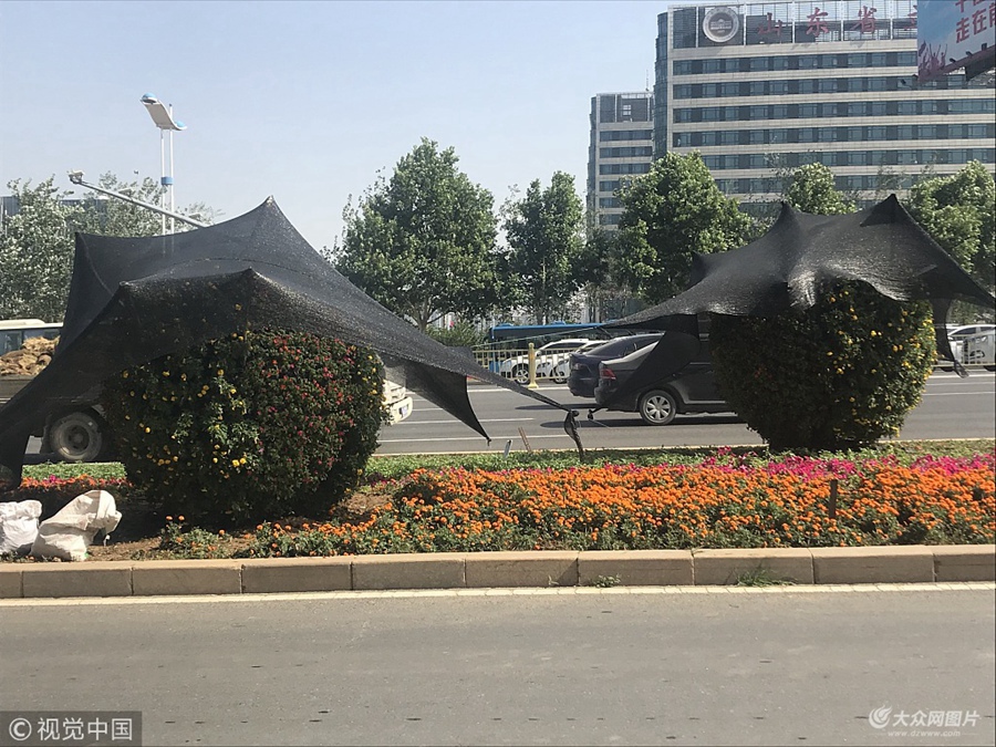 2018��6��5�գ�����ӭ��38�ȵĸߜ���⣬���˱���ߜر��񣬽�ʮ·߅��ֲ��Ҳ��������ꖂ㡣