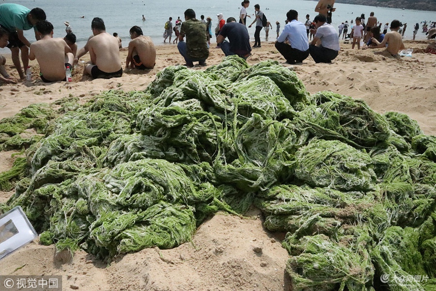 2018��6��19�������u�����غ�һ���_ʼ���F���ǝG̦�����u�����P���T�M���������r���G̦�M������������޶ȴ_�����պ���������