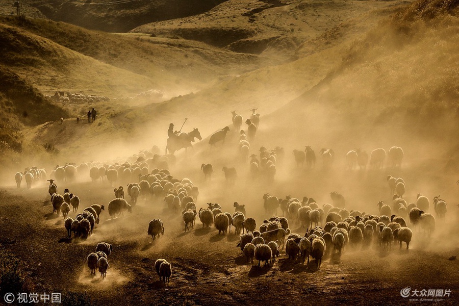 ���ؕr�g2018��6��14�գ������������˹ʡ�����f����������s��Ⱥ���^��ķ����ɽ�ߵؾ����m��������^��