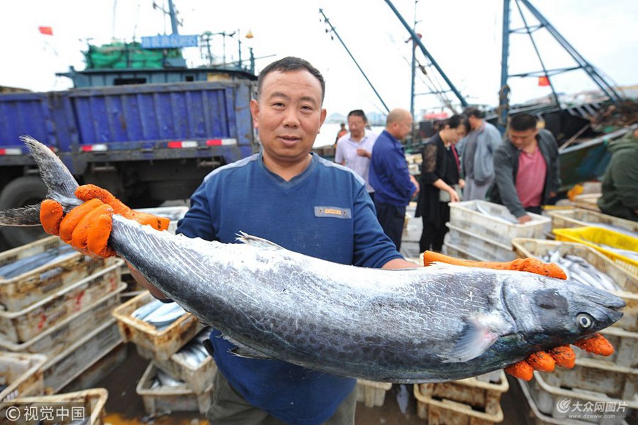 2018��9��28�գ��O�������u�Ѝ�ɽ�^(q��)���ĝO��չʾ15���ش����~��