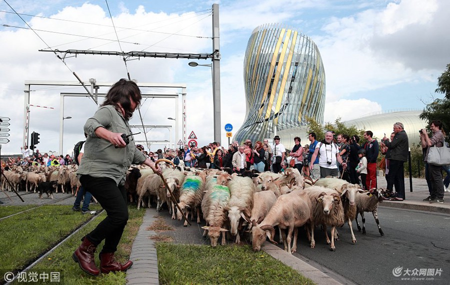 ���ؕr�g2018��10��6�գ����������࣬һǧ�^�򴩳Ƕ��^��