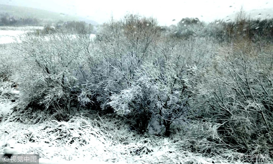 2018��10��15�գ��������ںӽ��½��׈�(ch��ng)ѩ��