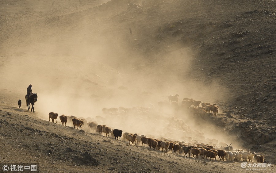 2018��10��14�գ��½������h���_���������s��ţ���񄡢�Rƥ����ɽԽ�ӡ���Խ��ڣ����ļ������w���＾������