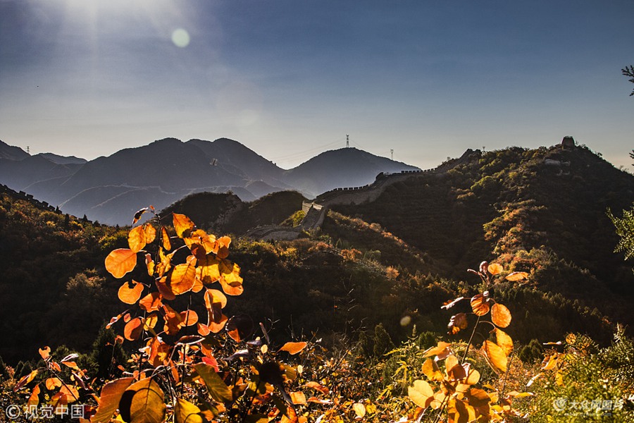 2018��10��18�����磬���������_�X����ɭ�ֹ��@�t�~�X������r��(ji��)�t�~�Mɽ�����M�@�����ﾰ��