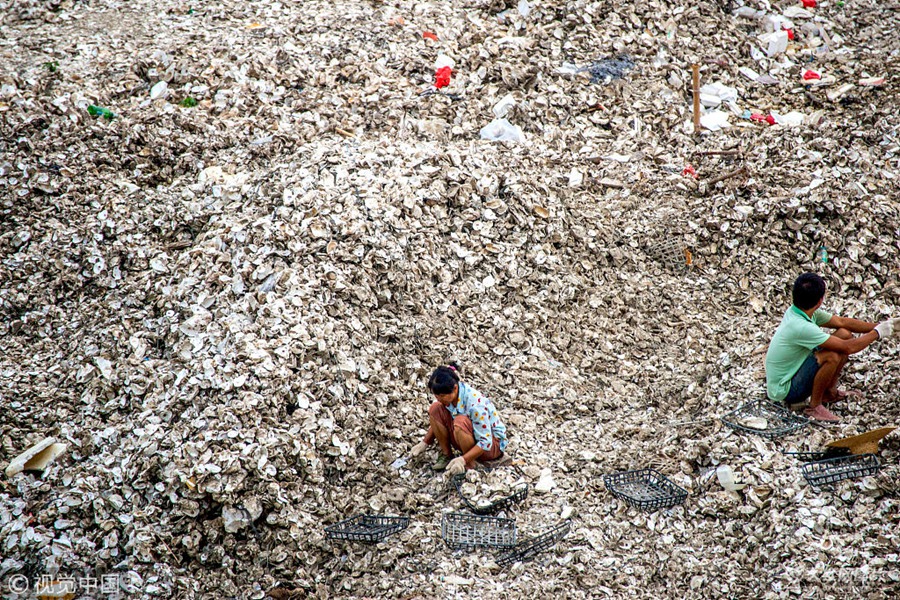 2018��10��16�����磬�V�|���ݣ��ݖ|�h�Fӿ悳శ��Ŀ������ذ�һƬæµ���󡣺�����һ���ź��׵�������£�����λ�����ý��ٹ������_ϖ���֒�ϖ�⣬���������ò����[��