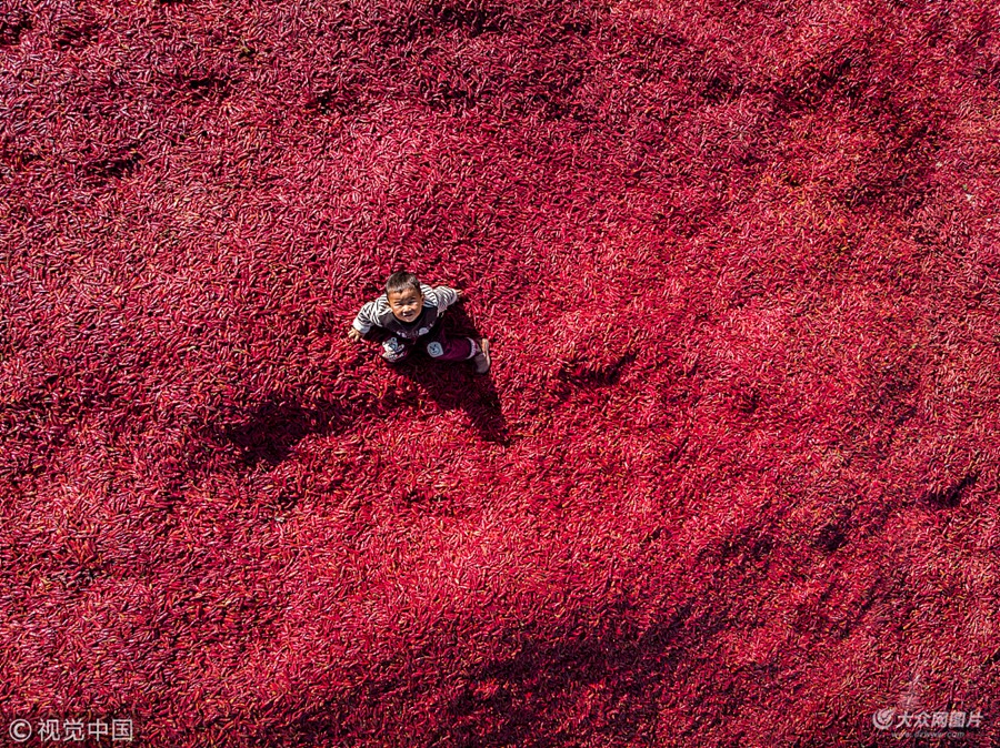 2018��10��26�գ�ɽ�|���������l(xi��ng)�h�����(zh��n)�R·���Ե�̎�������Ľ����c���@��������ɽ���хR�۳�һƬ�tɫ�ĺ���