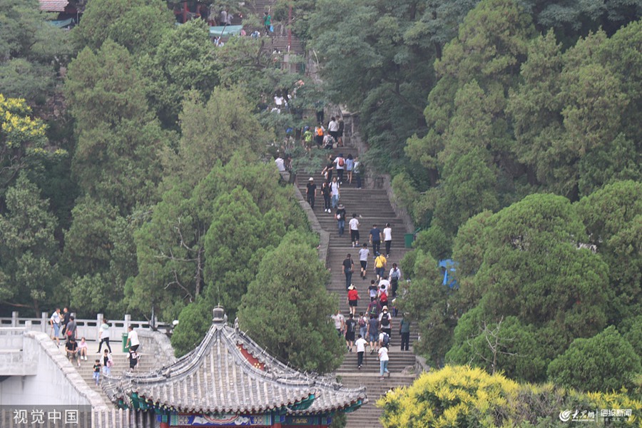 2019��8��3�գ�ɽ�|̩�������S���ځ��R��̩ɽ����ӭ��һ��һ�ȵ��������ο��ж�Ҋ�W�������L����Ӱ��