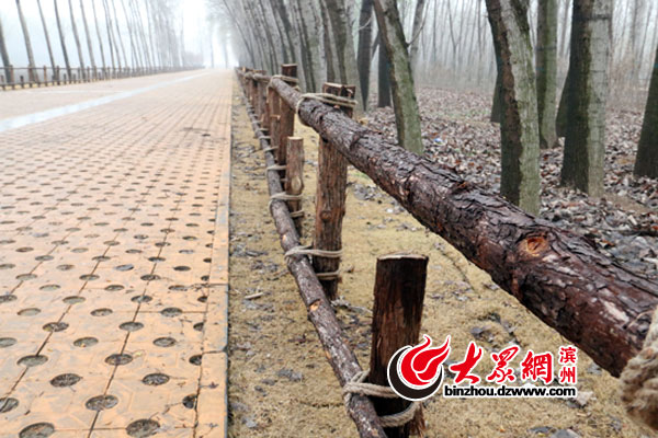 �I�������������_�I(y��) ���^�p���_(t��i)����ǧ�����ŸG