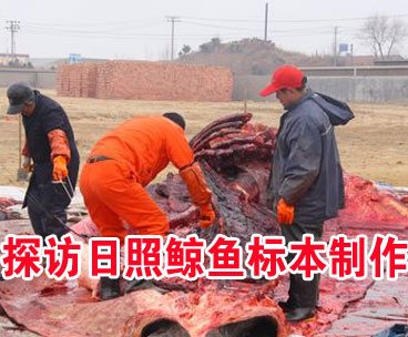 ��(d��)��ҕ�l��̽�L�����L�~(y��)��(bi��o)������