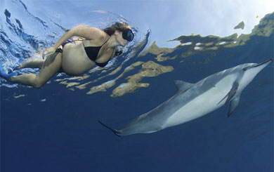 �ЋD�º���Ӿ ��������ͬ��