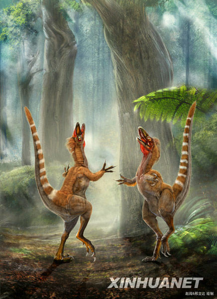 �@�ǿƌW�Ҹ����о��Ɣ�����A���Bɫ�ʏ�ԭ�D��