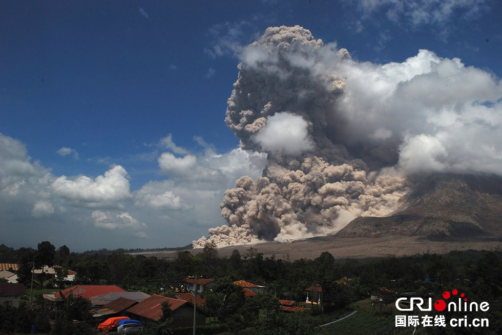 �a�{���ɽ���m(x��)���l(f��) ��ɽ����������Ģ����