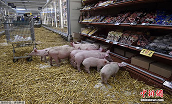 ����(gu��)�r(n��ng)���h�i��r(ji��)�� �������r�^(q��)׃���iȦ��