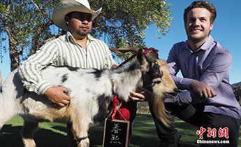 ����(gu��)���ݾ��f��ɽ��������������ӭ���Ї�(gu��)����