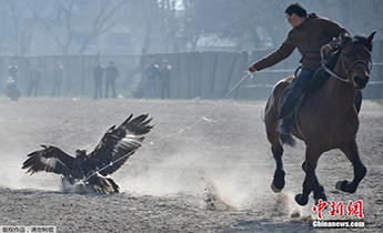 ������˹˹̹���C��(ji��) �C��չ�Ჶץ��؂