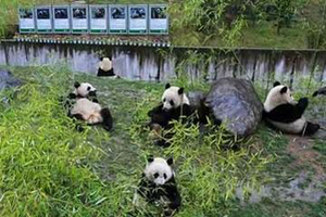 ������W�\(y��n)��������؈�x��