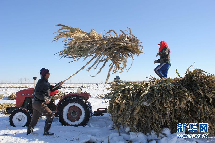 ����������1�����ɹţ�ѩ�����a�Ծ�