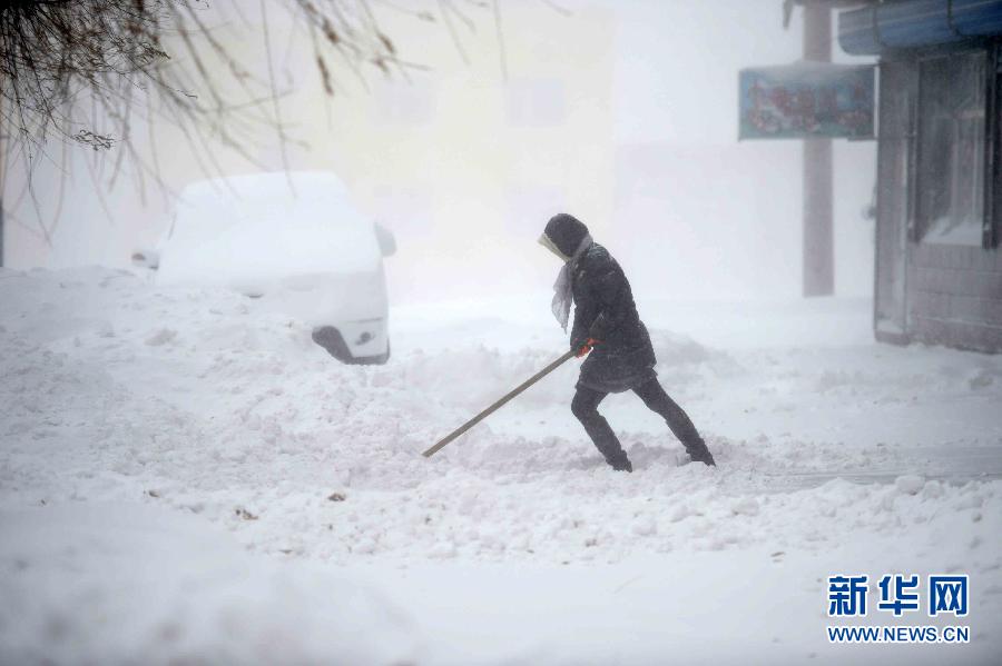 �����B����5����������������ѩ