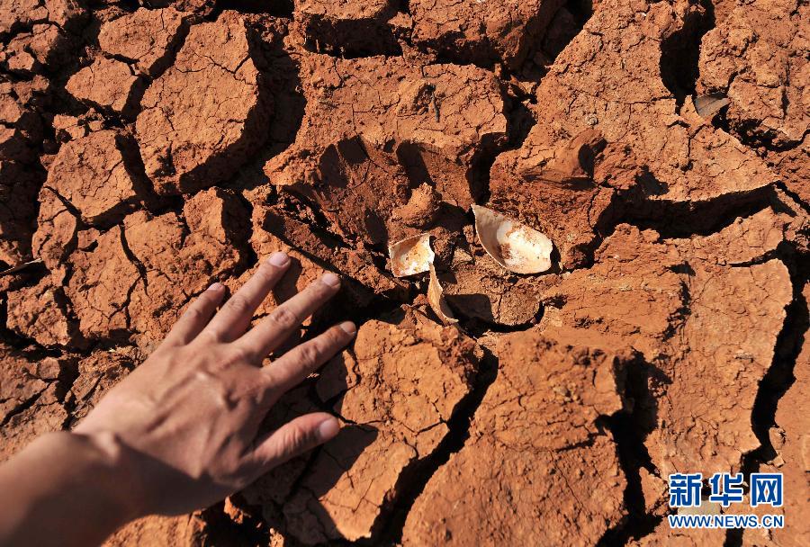 ���߻���  (t��ng)������2���������������B�� ӛ�����Lʯ�ָɺ��؅^(q��)