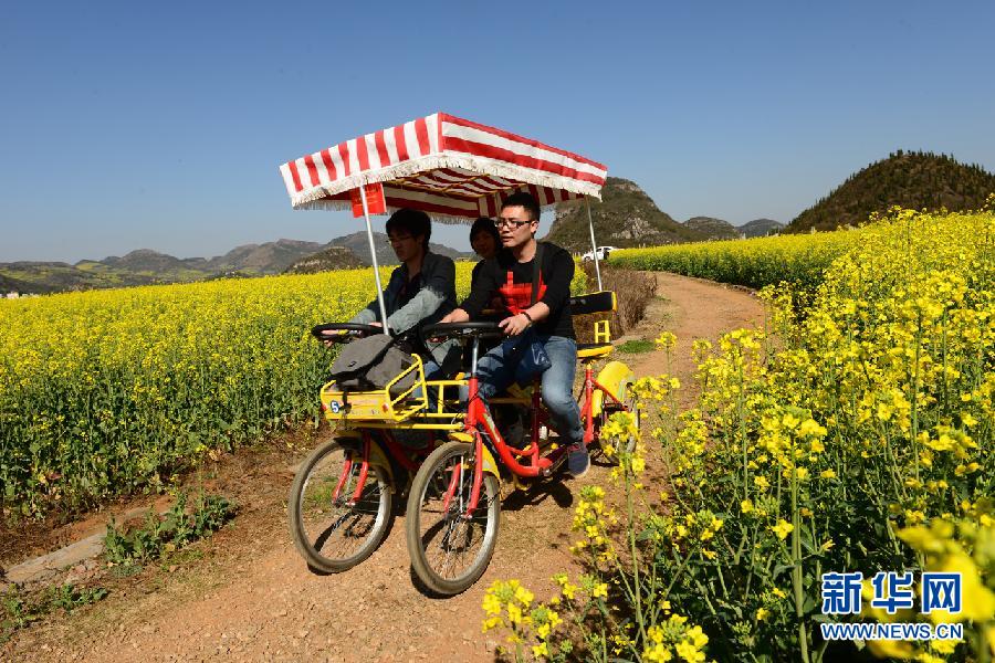 2��2�գ��ο��������_ƽ�Ͳ˻������p����