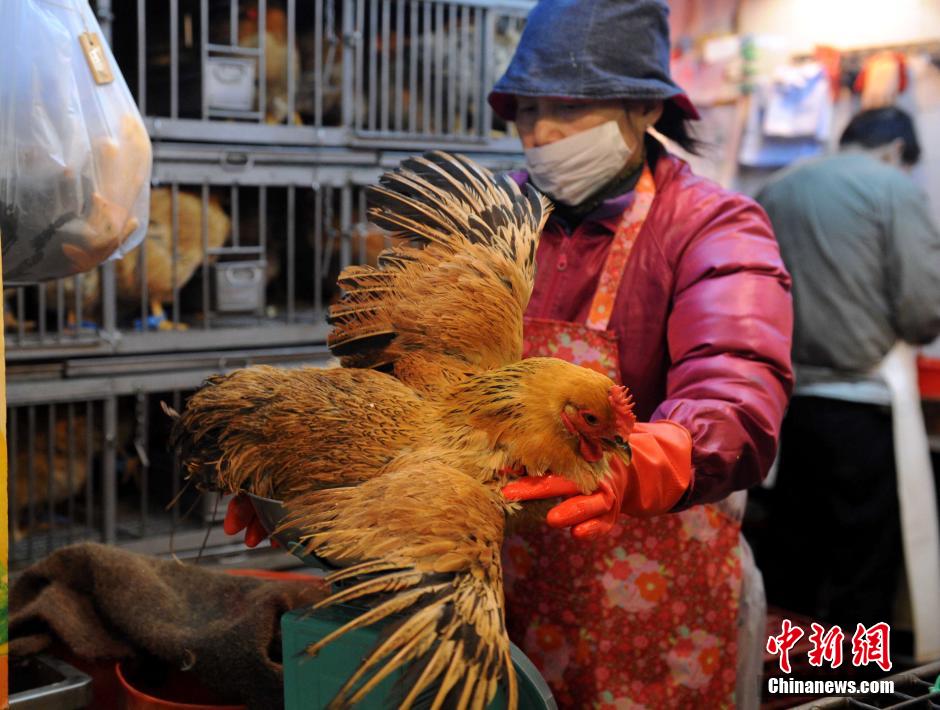 2��19�գ���ۻ֏ͳ��۱��ػ��u����۞������ܵĽ��ۻ��u�ÝM�����ȵػ��u������ͣ4���¡�������l�T�_�� �z