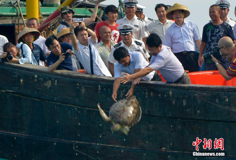 5��9�գ�����ʡ������̶�T���Ҽ����ĝO���e�С����o�������B�����˅��c�o�{����ӆ��Ӄxʽ��������20��ֻ������