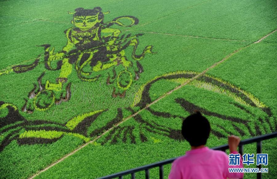 7��1�գ�һλ���^�������p���顶��߸�[�����ľ��͵��ﮋ��