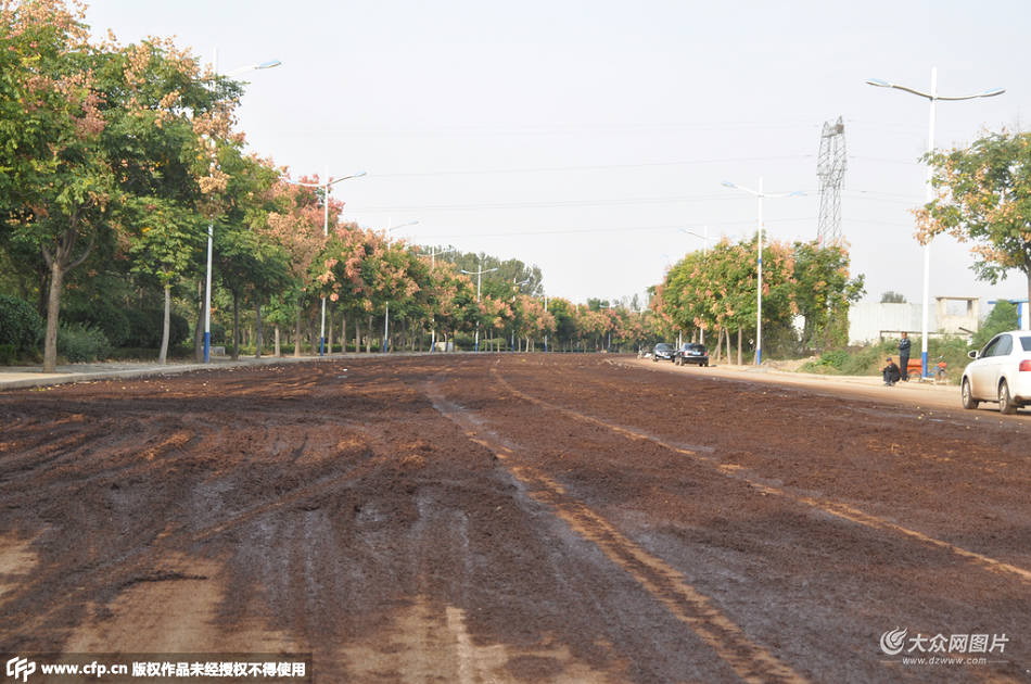 10��9�գ�ɽ�|ʡ�ʝ��У��ǅ^����·���Σ��װ����L��·���ϱ�ռ��������㣬20���׌���·�棬ֻ�ڵ�·�|�����²���5�׵ľ��x���������Տ������̱ǵĚ�ζ���������˽��ڱǶ��^��