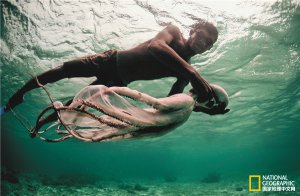 ���ĺ��Ϸ����ˣ����׾͕�(hu��)�Ѷ�ĤŪ��