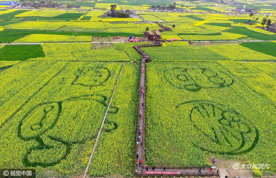 ��8�����Ĵ��V�h�����(zh��n)���ߴ��f���Ͳ˻�ʢ�_������������c(di��n)�����Ă�(g��)��ͨ����D�����քe�ǙC(j��)��؈��hellokitty�������С�S���������j(lu��)�[���^���ο��p��֮���������