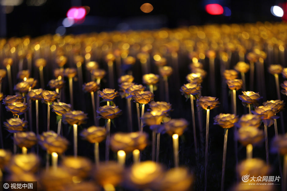 9��17�գ�ɽ�|ʡ���u���ƍu�����I���@����5�f��t���Sõ�廨���M�ɵĹ�֮õ�廨�������@��������Ȼ�`�������@�����﹝(ji��)�������S����������������S���������؄e����Hǰ��������