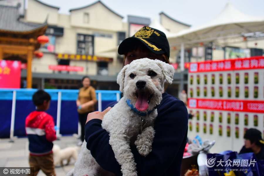 2017��4��15�գ�������ĳ�̘I�e�k�������BȮ��������У�һֻһ�q���cһֻ����Silence��С����Ȯ��ֻҪ����һ�Ӗ|��׌��һ��Ȼ����������������ҵ����ʴ_�ʰٷ�֮����׌�F��������_�۽���